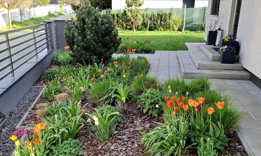 Detail farebných kvetinových záhonov - moderná záhrada