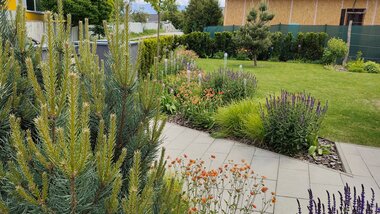 Detail kvetinového záhonu s motýľom