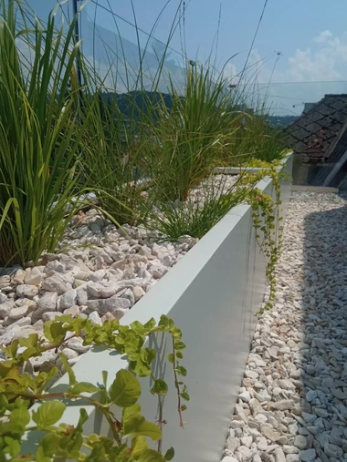 Detail strešnej záhrady s trvalkami a okrasnými trávami v bielych kvetináčoch