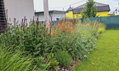 moderná okrasná záhrada v Žiline-Bánovej s farebnými záhonmi a zeleným trávnikom
