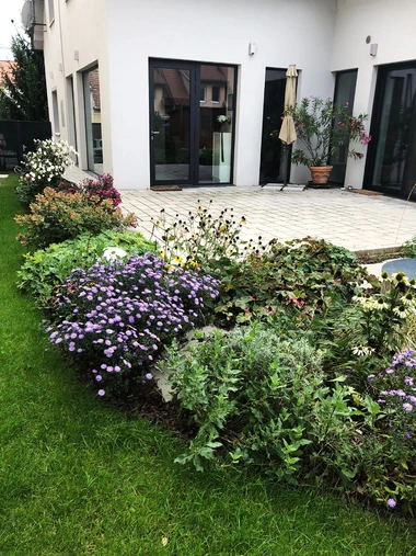 Moderná záhrada s trvalkami a aromatickými bylinkami okolo terasy domu