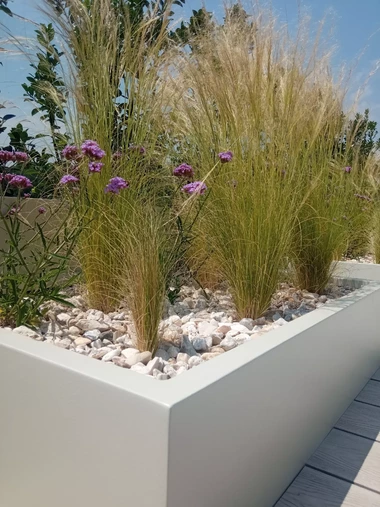 Moderné kvetináče s ornamentálnymi trávami a kvitnúcimi trvalkami