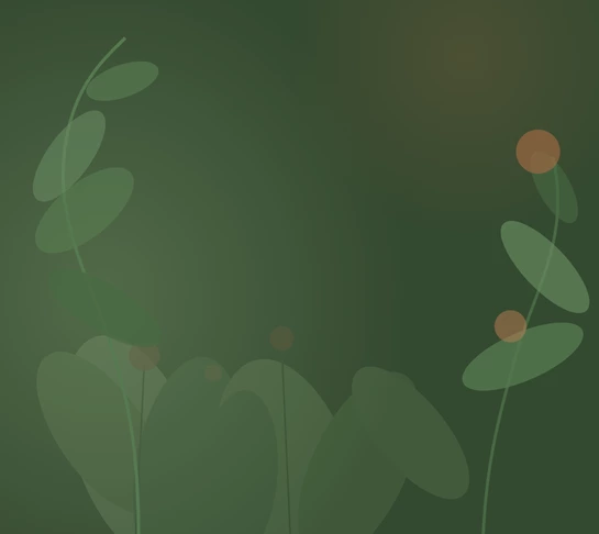 okrasná záhrada - pozadie