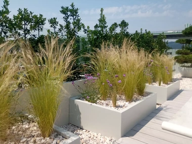 Sklolaminátové kvetináče s vysokými okrasnými trávami na strešnej záhrade