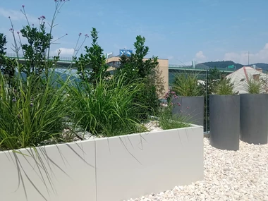 Stálozelené cezmíny v dizajnových kvetináčoch na strešnej terase