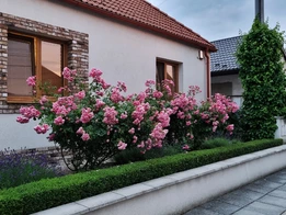 TRENČIANSKE BOHUSLAVICE